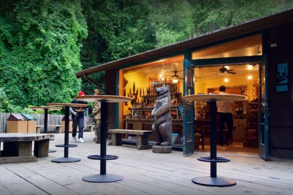 Muir Woods National Monument Retail Store with wooden bear and high top tables out front.